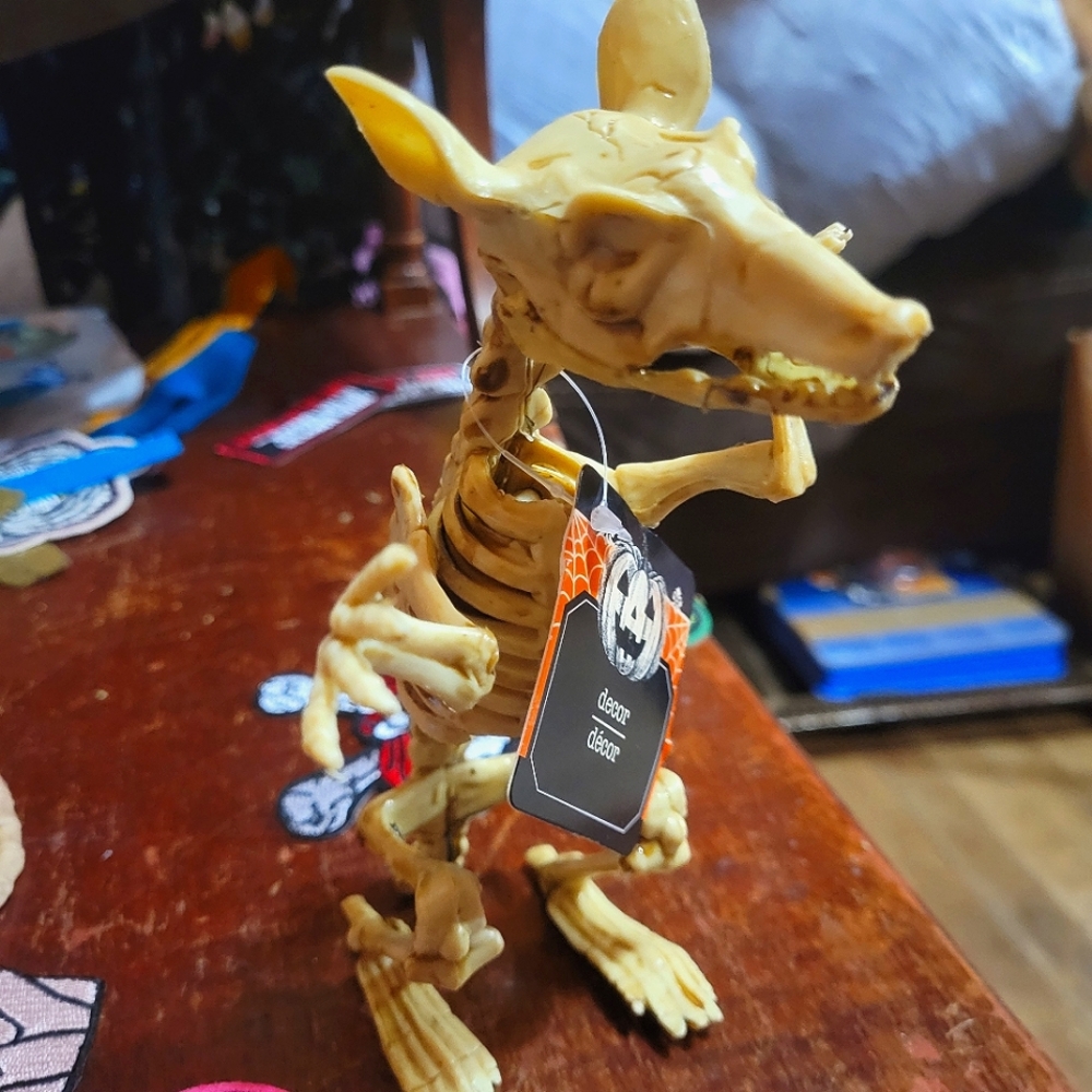 skeleton rat